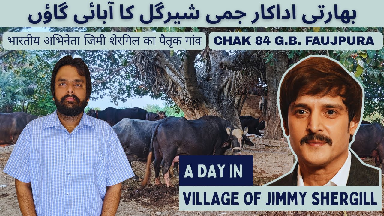 The Native Village of Bollywood Actor Jimmy Shergill in Pakistan | Chak 84 G.B Faujpura