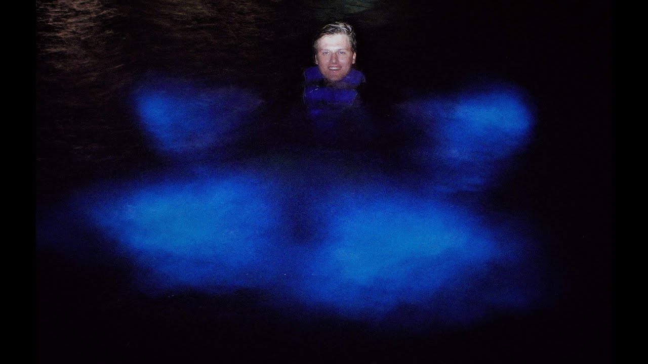 Bioluminescence Tour In Grand Cayman | George's Watersports
