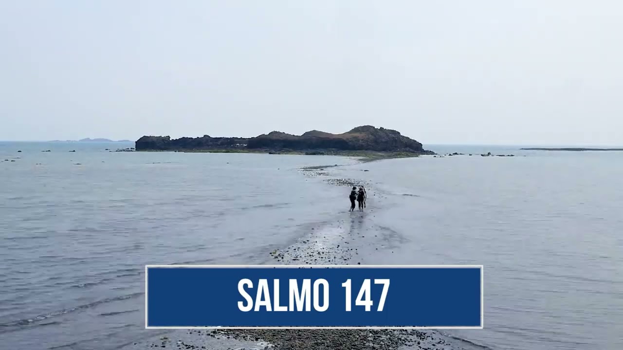 Salmo 147 - Demos gracias y alabemos al Señor
