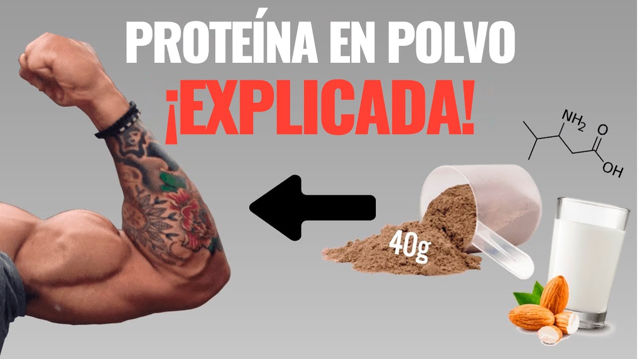 Proteína en polvo: ¡Cómo usarla correctamente para aumentar músculos! 💪🏼⚡ 4 cosas que debes saber