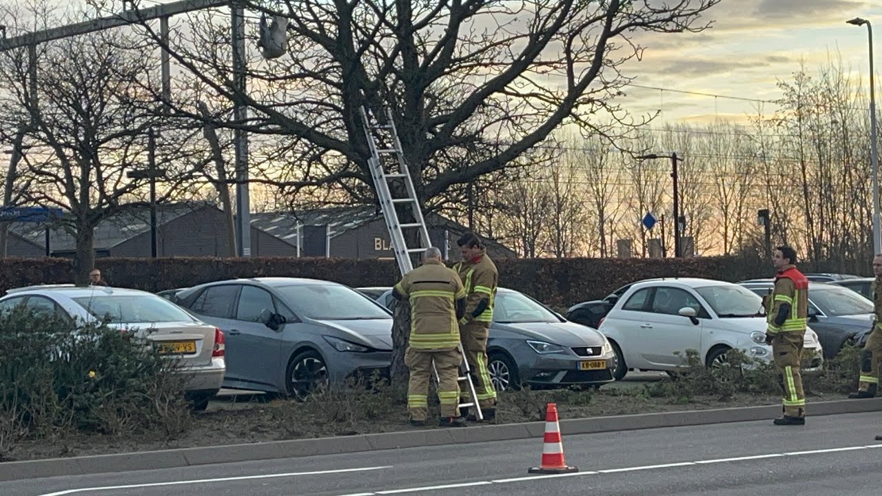 P2 dier in problemen