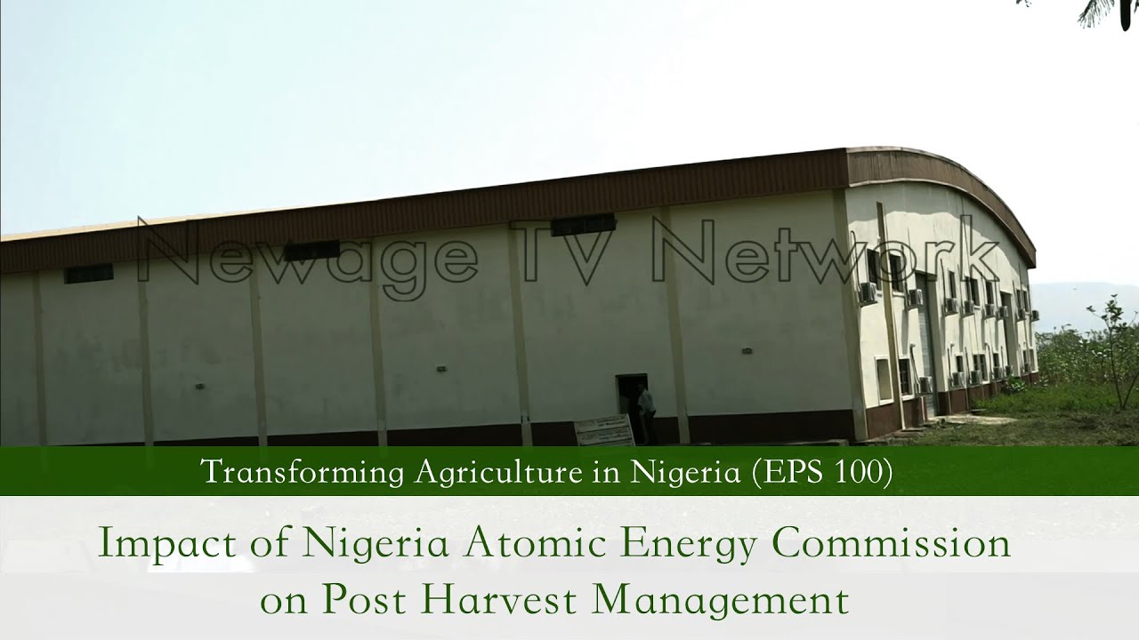 EPS 100 || Impact of Nigeria Atomic Energy Commission on Post Harvest Management
