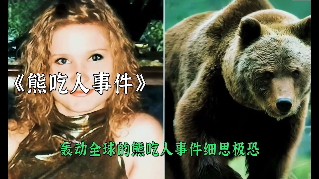 轟動全球的熊吃人事件細思極恐