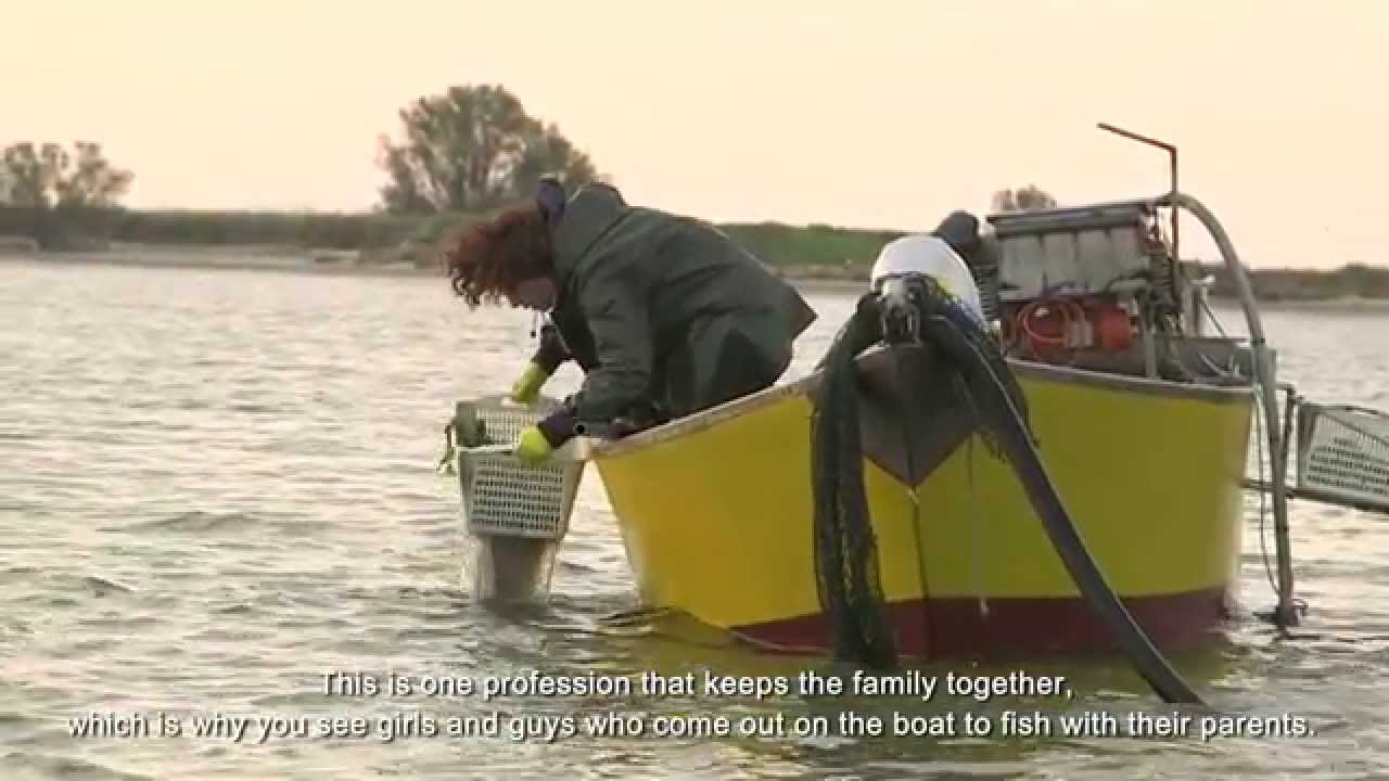 Alberto Barini, pescatore di vongole nel Delta del Po