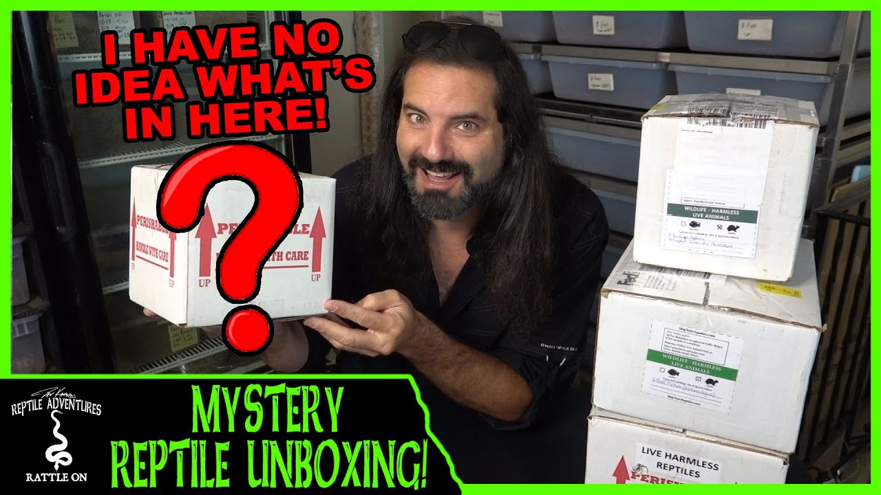 MYSTERY REPTILE UNBOXING! (I have no idea what's inside)
