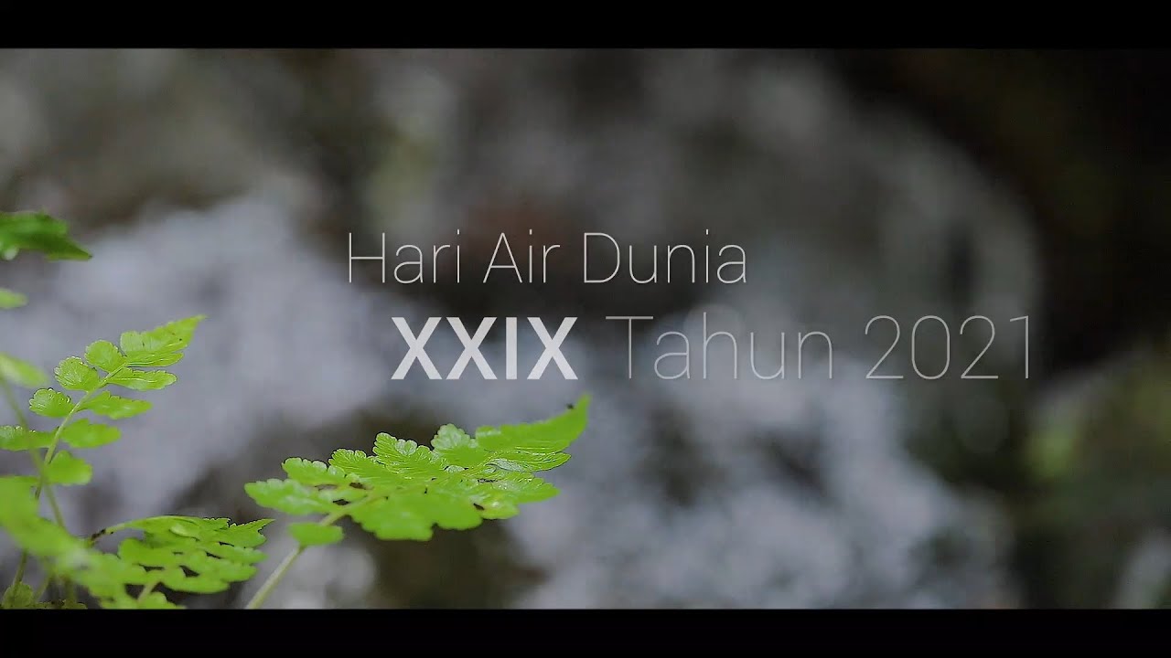 Hari Air Dunia 2021 – Pentingnya Air untuk Kehidupan Manusia