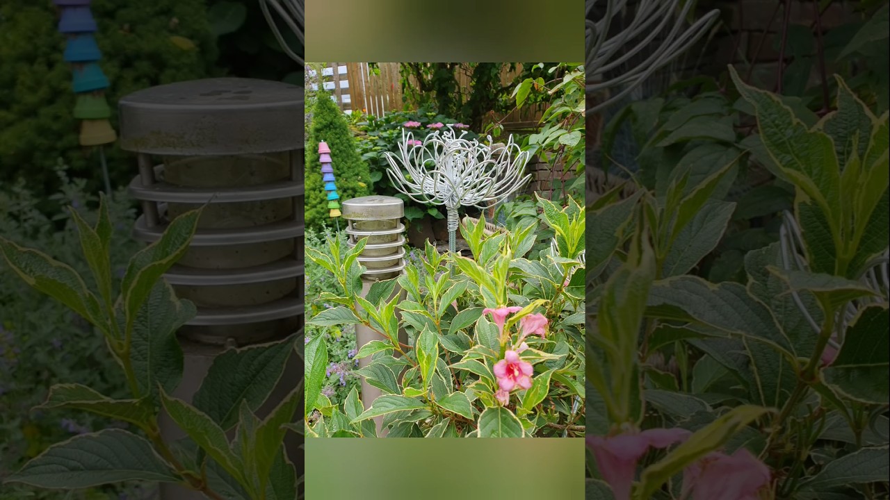 Seerose aus Draht DIY 🌸 #gartensteele #gartenstecker #drahtblume #gartendeko #gardendecoration #wire