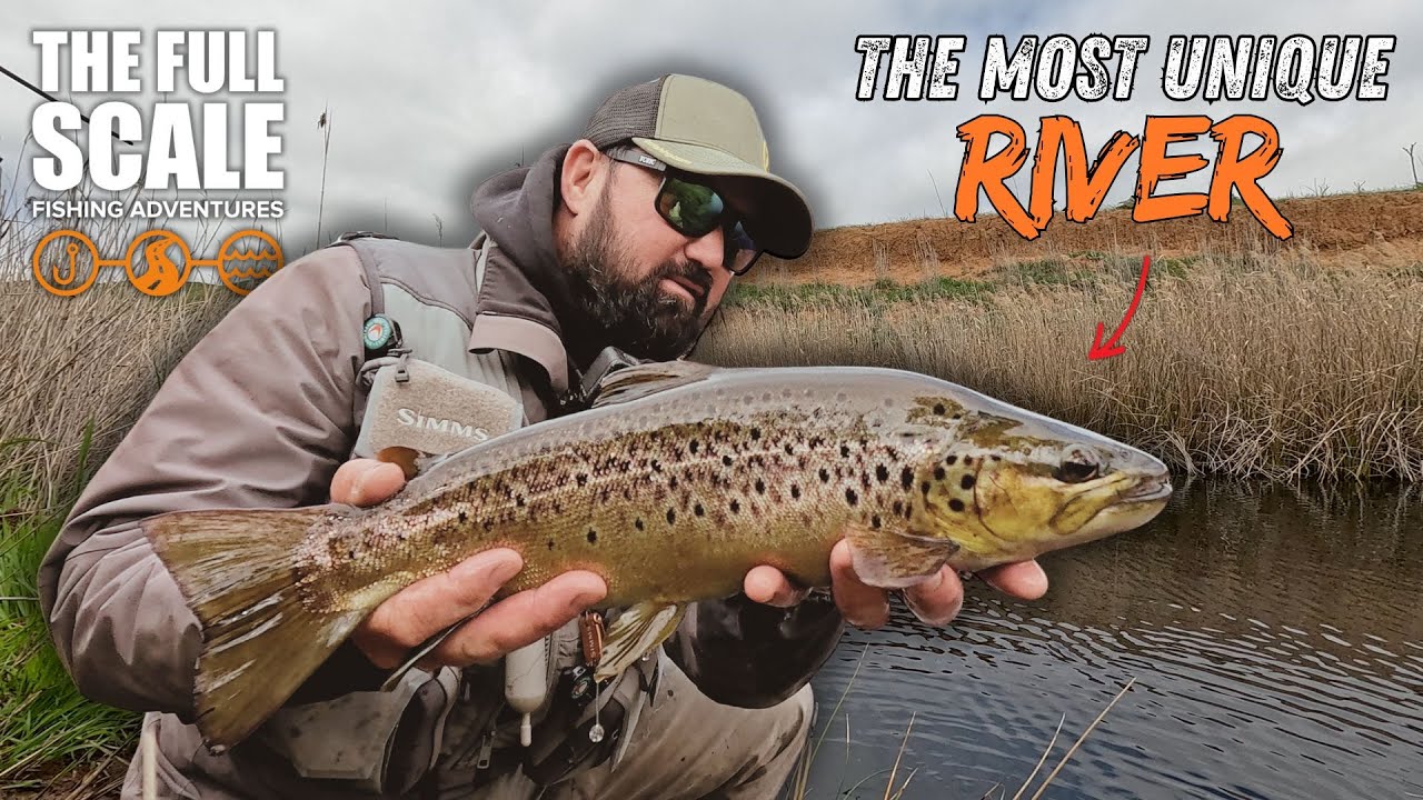 Fly Fishing Australia's Most Unique Trout River | The Full Scale