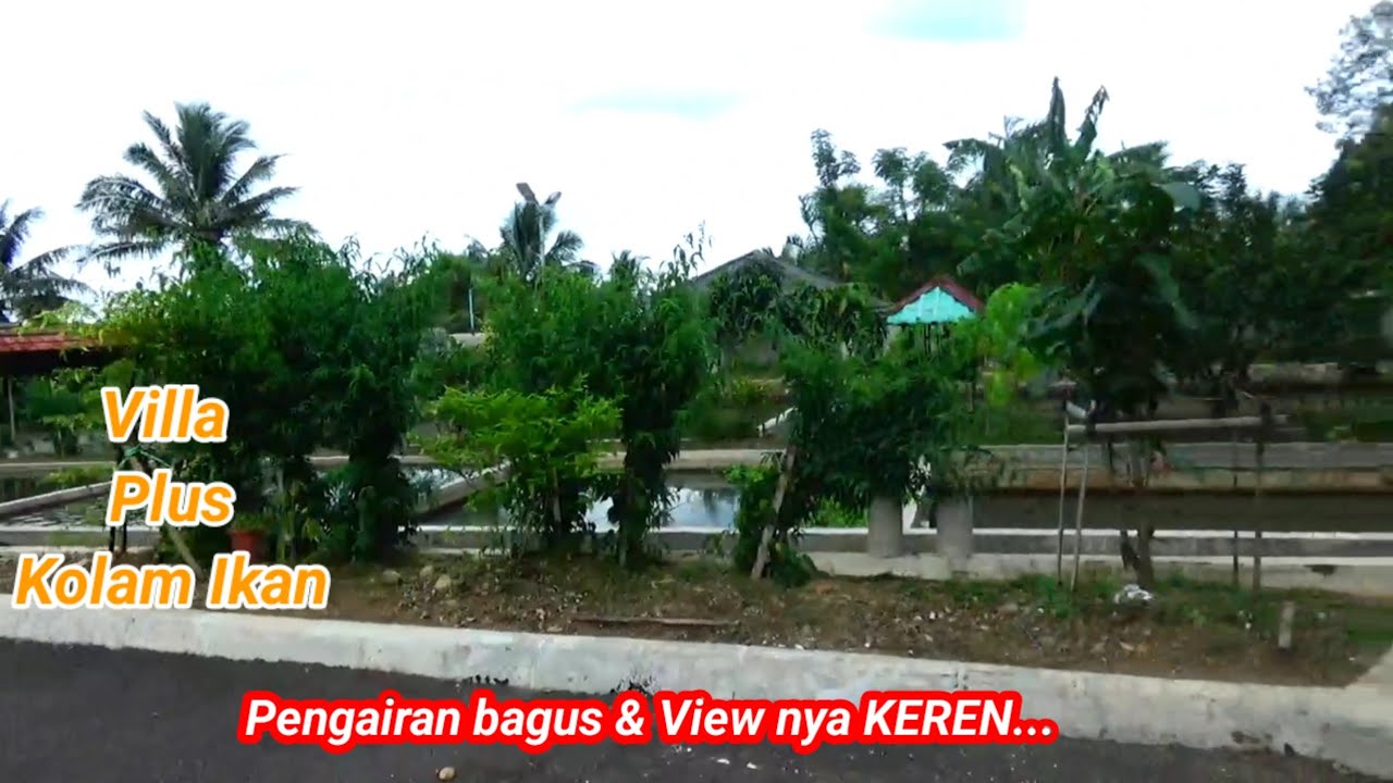 Villa Bogor   dan Kolam Ikan di jual,pengairan bagus