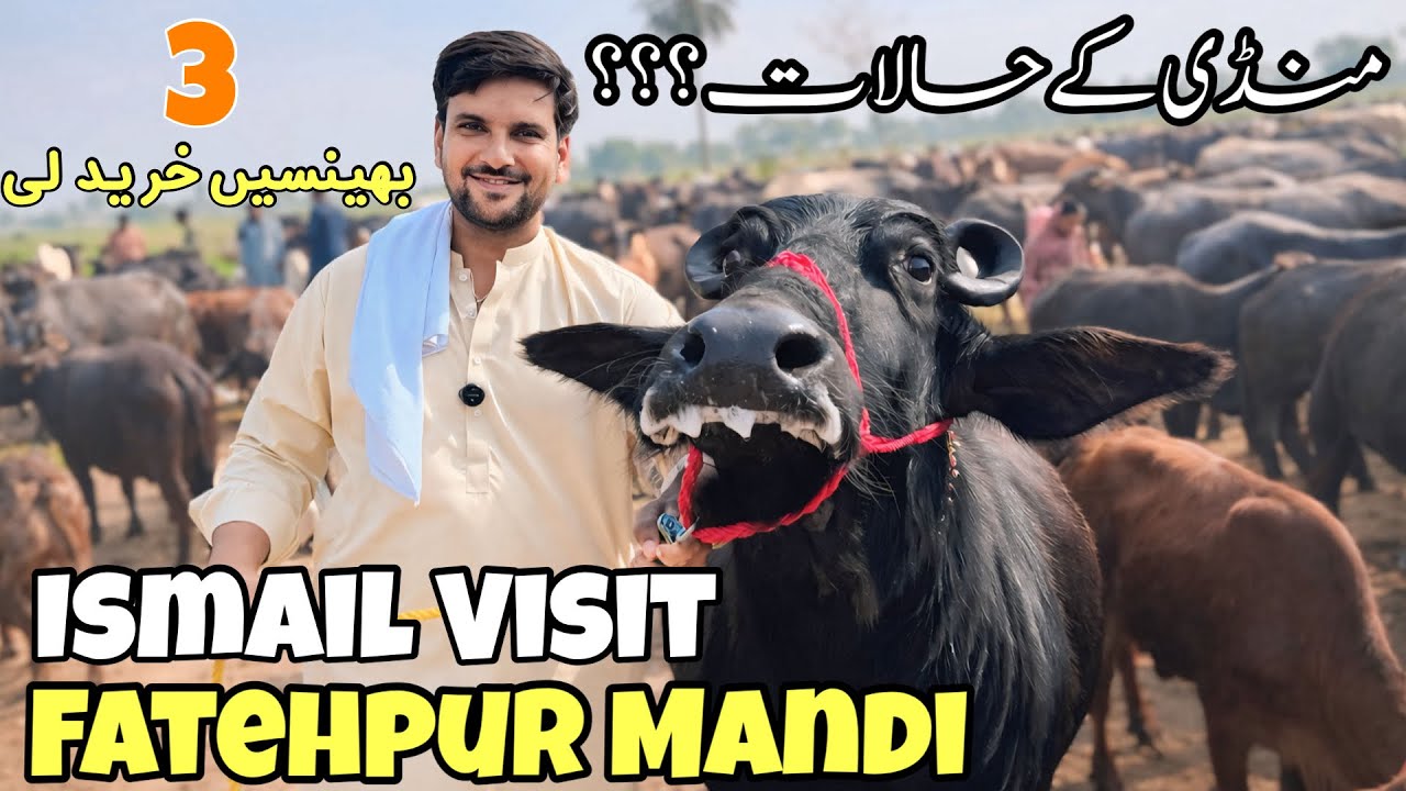 Ismail jutt Visit Fatehpur Mandi
