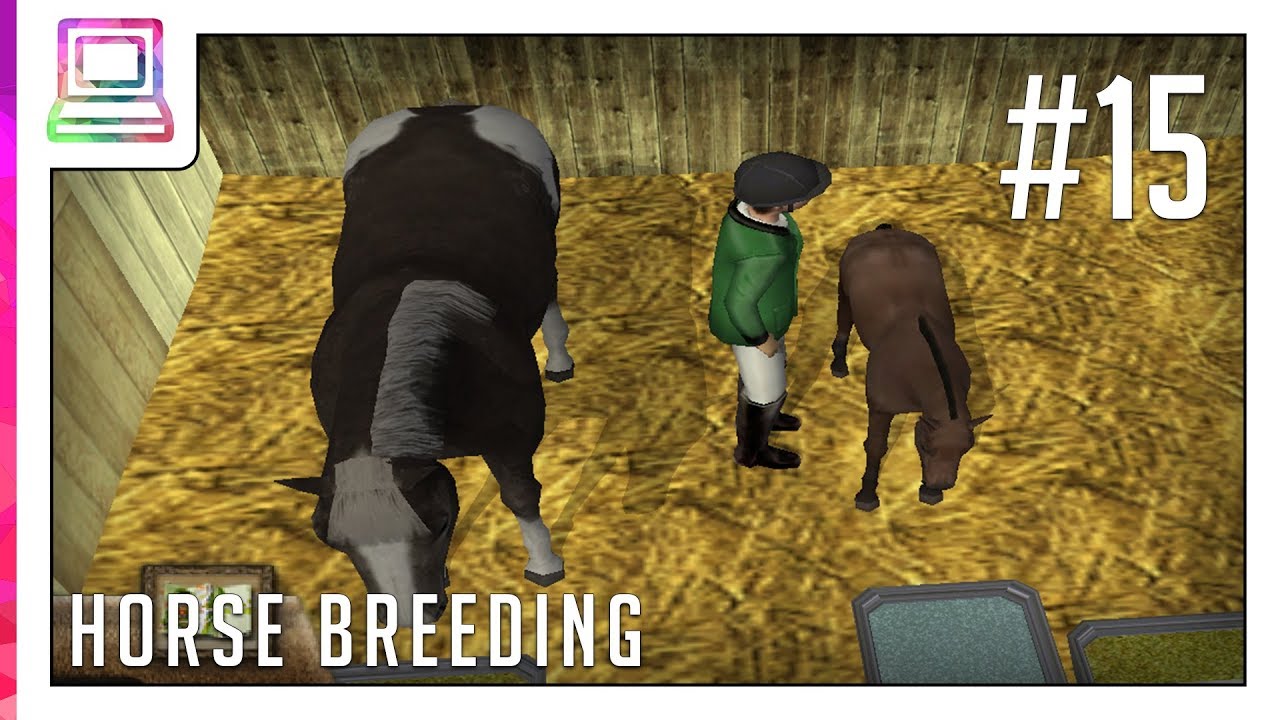 My Riding Stables - Stable Manager (part 15) (Horse Game)