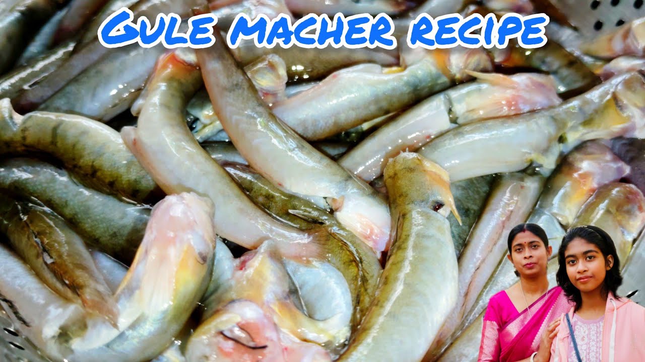Gule macher recipe | gule macher recipe in bengali | gule bele macher recipe