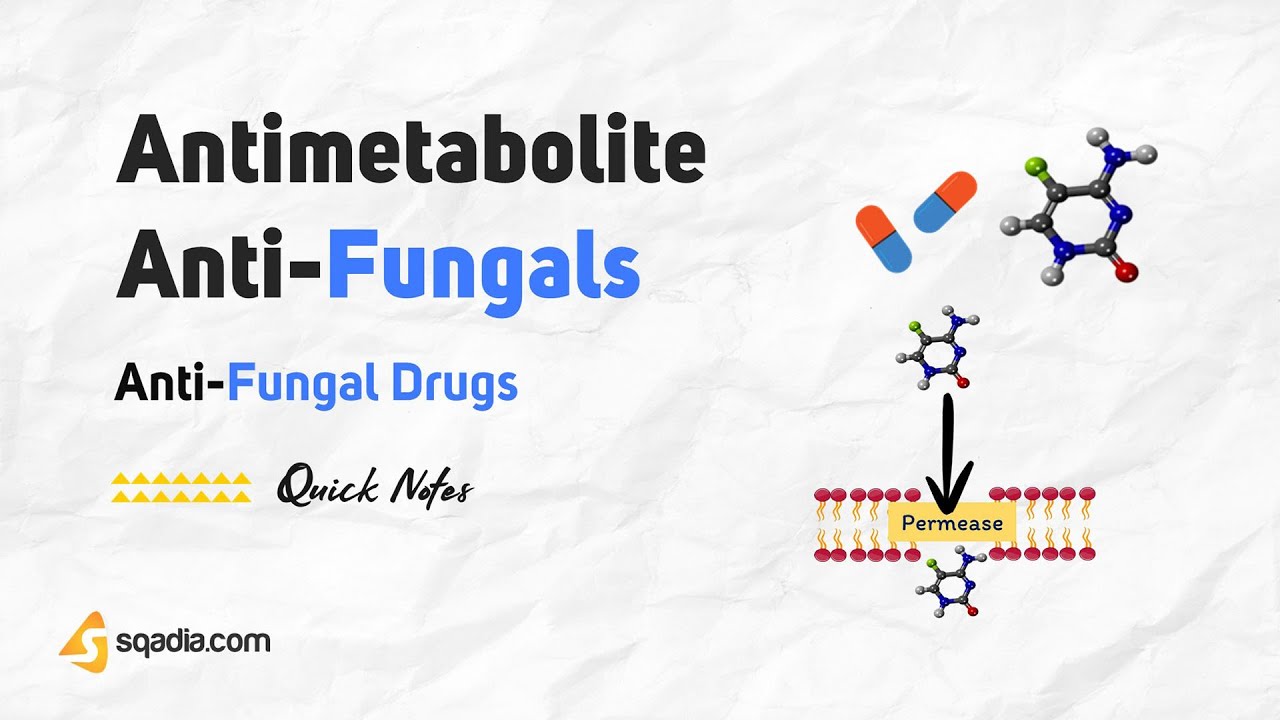 Anti-Fungal Drugs | Antimetabolite Anti-Fungals