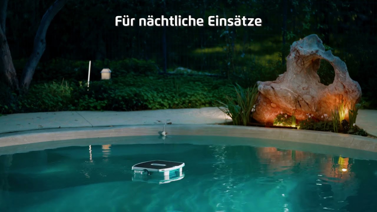 6 Gr&uuml;nde, den Dolphin Skimmi zu lieben