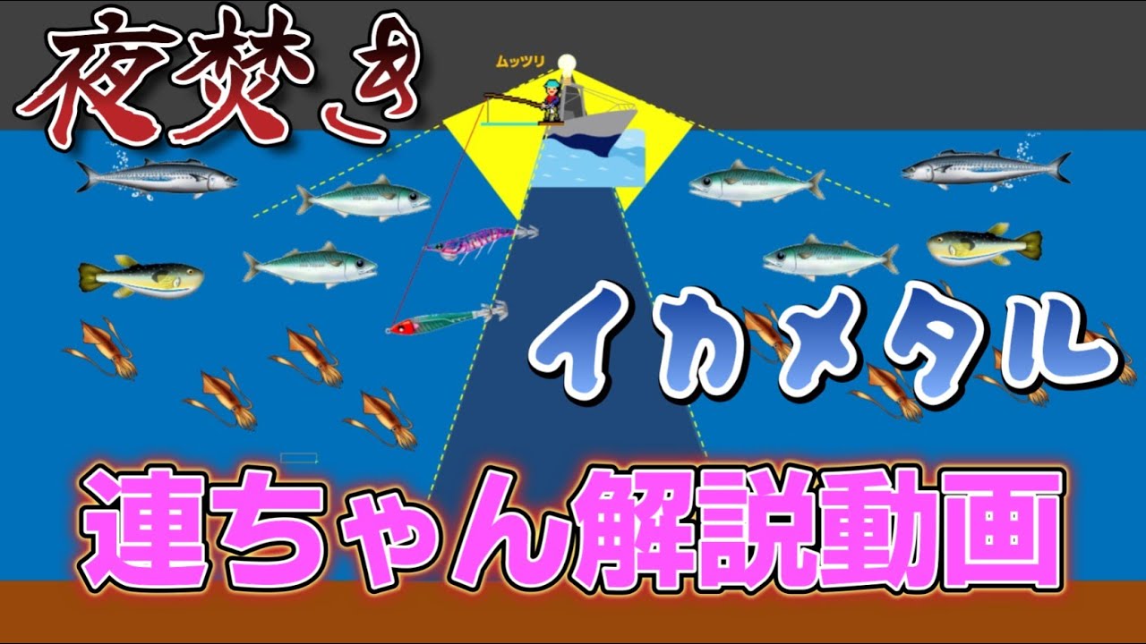 夜焚きイカメタル連ちゃん解説動画（魚をかわしてイカを釣る）