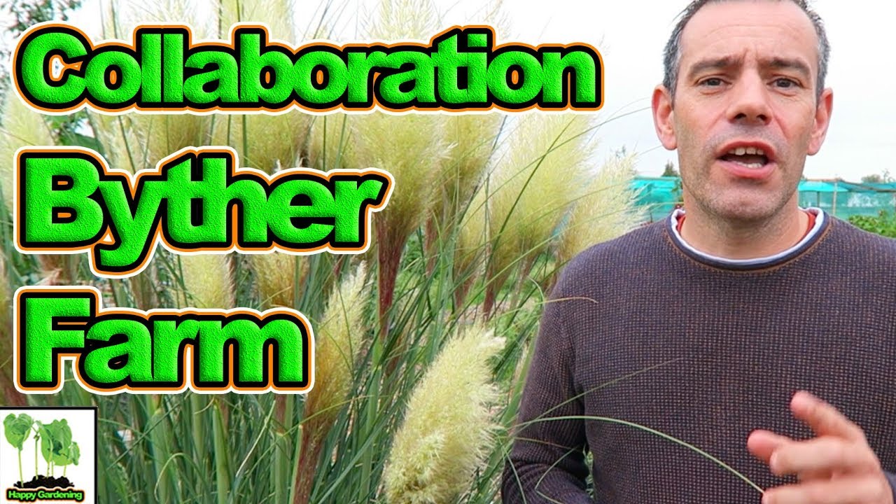 Meeting Other Creators For Collaborations - Liz Zorab - Byther Farm