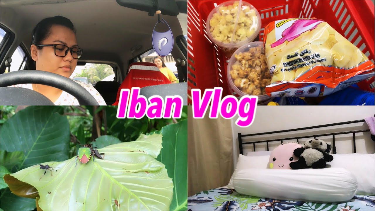 Iban Vlog|meli ruti,meda empangau,mayuh censor 🤣, ngemas bilik