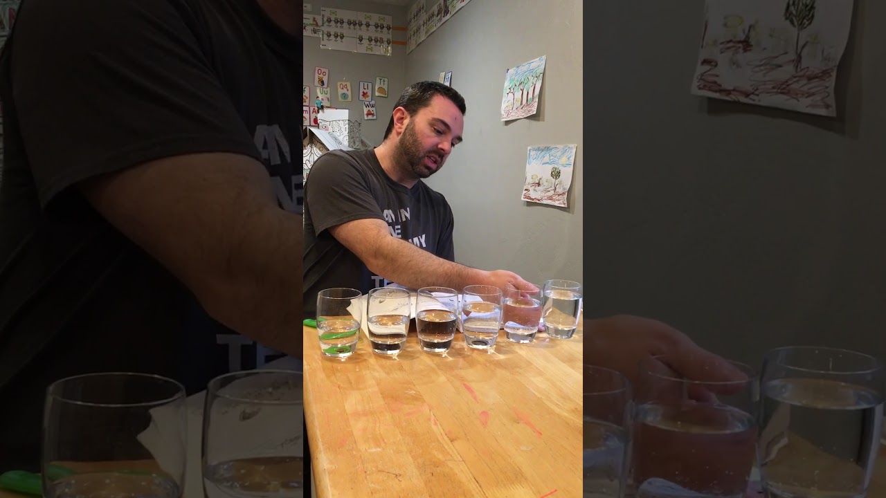 Classical Conversations Cycle 2 Week 15 Science