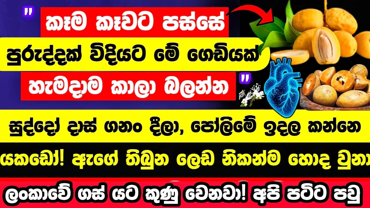 🔴ඇටෙන් සමිබෝල හදලා මාරාන්තික ලෙඩාට ජීවිතේ දීපු, කහට පොකුරු පලතුර මෙන්න!
