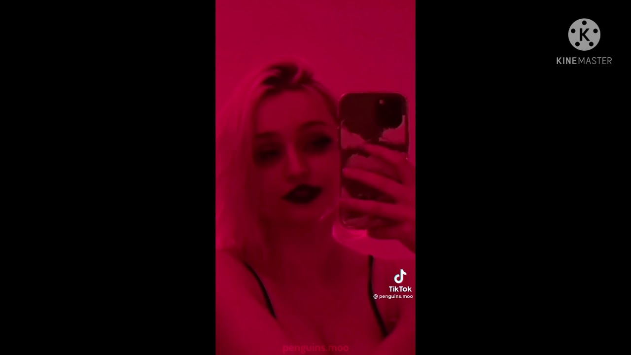 MCYT Tiktok Compilations // MCYT Tiktok #26
