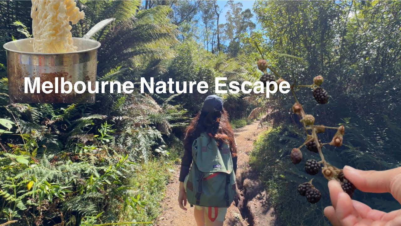 feeling alive in nature🪷melbourne vlog