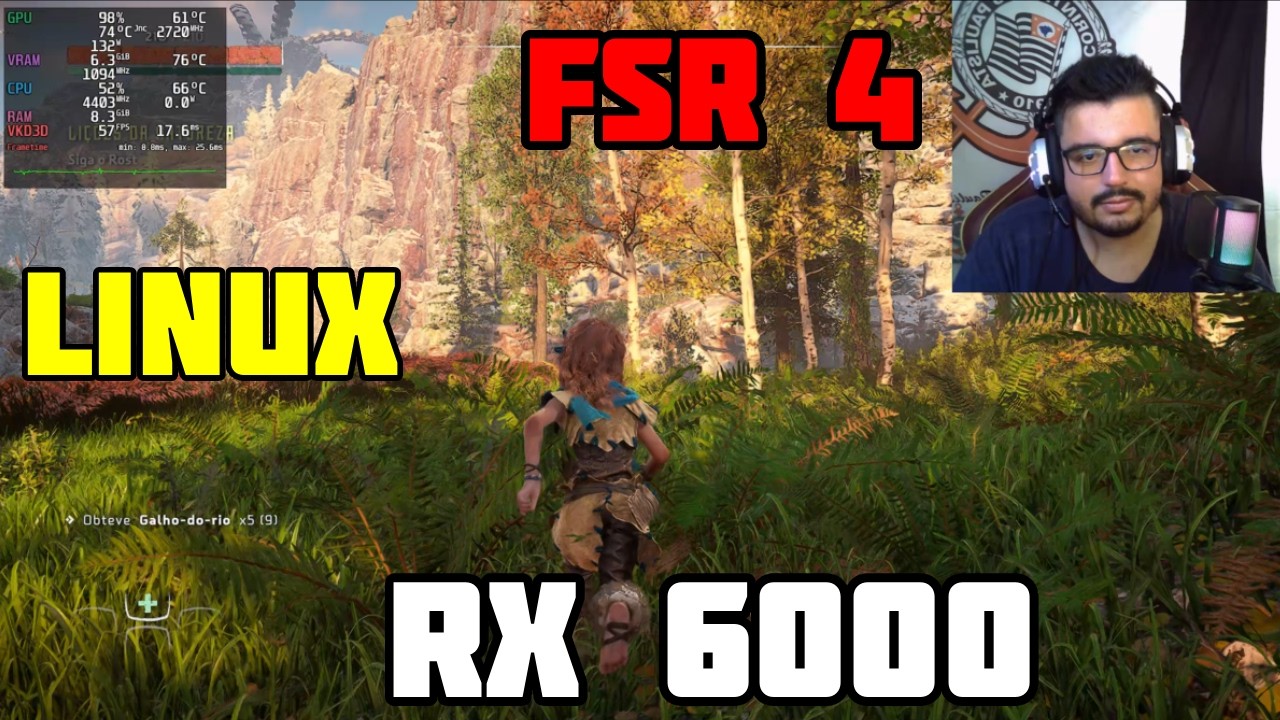 FSR 4 FICOU INCRIVEL NO LINUX NAS RX 6000