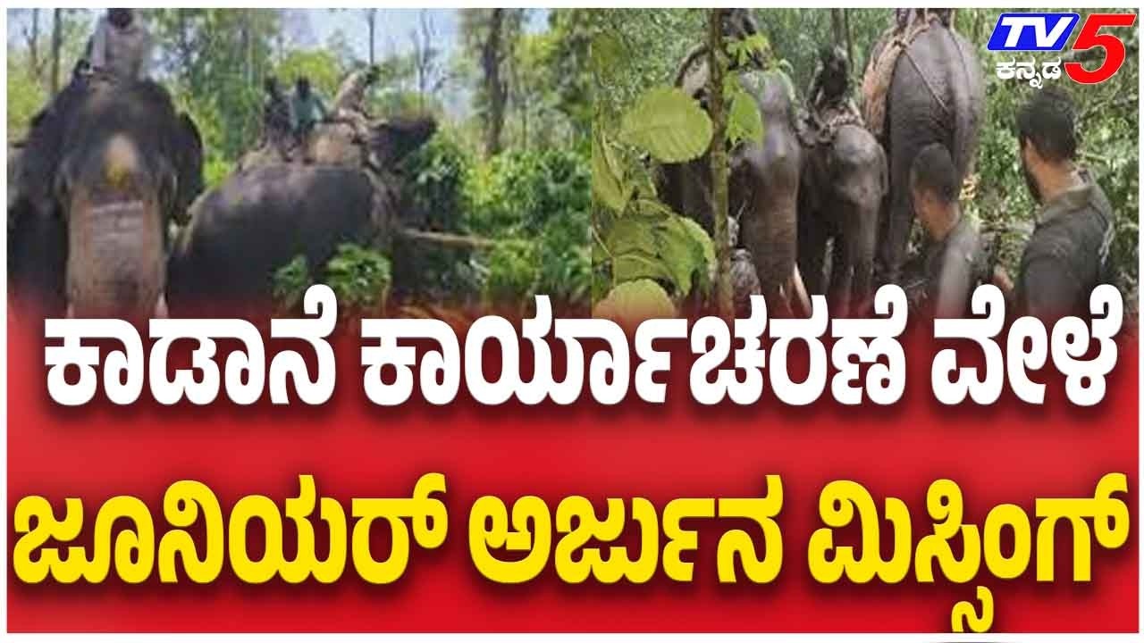 Kumki Elephant Goes Missing During Forest Operation |ಕಾಡಾನೆ ಕಾರ್ಯಾಚರಣೆ ವೇಳೆ ಜೂನಿಯರ್ ಅರ್ಜುನ ಮಿಸ್ಸಿಂಗ್