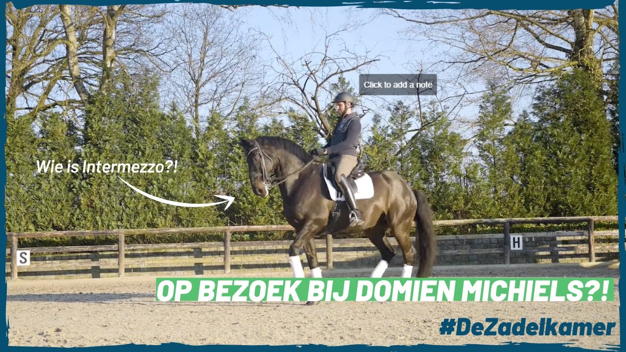 Op bezoek bij Domien Michiels 🙌🏼  I Wie is Intermezzo vh Meerdaalhof?! 🐴