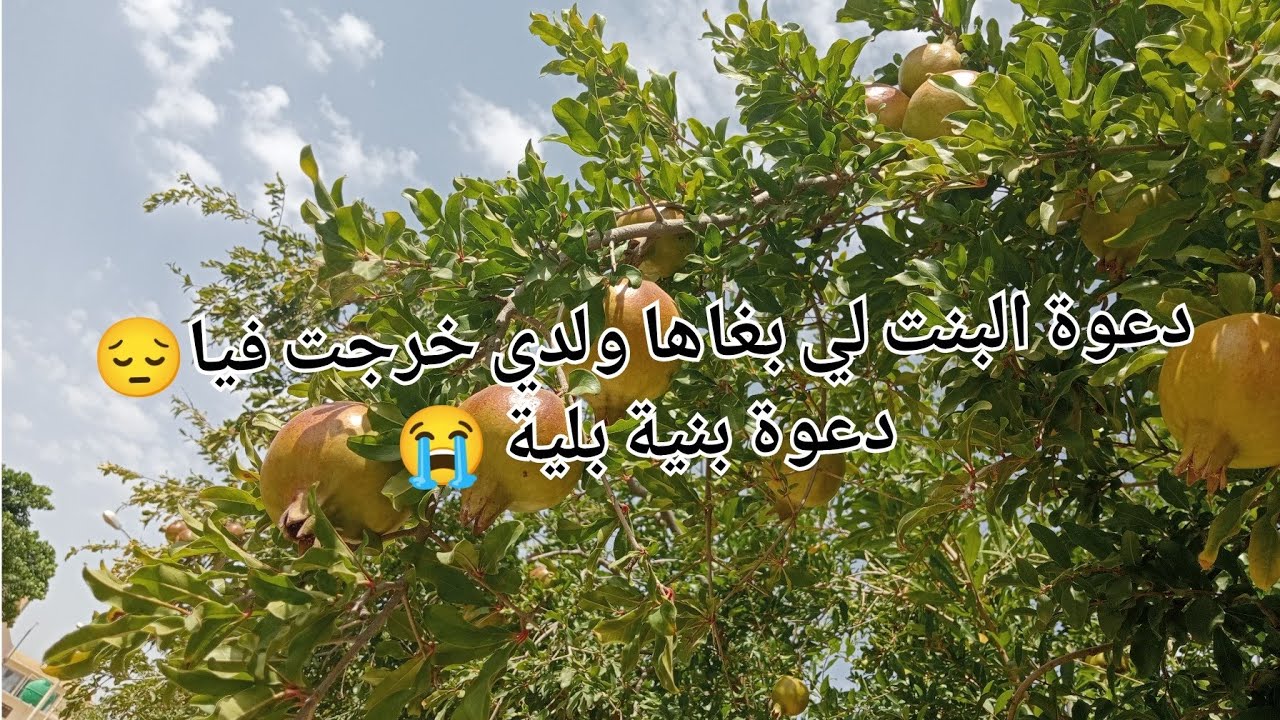 دعوة البنت لي بغاها ولدي خرجت فيا 😔 دعوة بنية بلية 😭