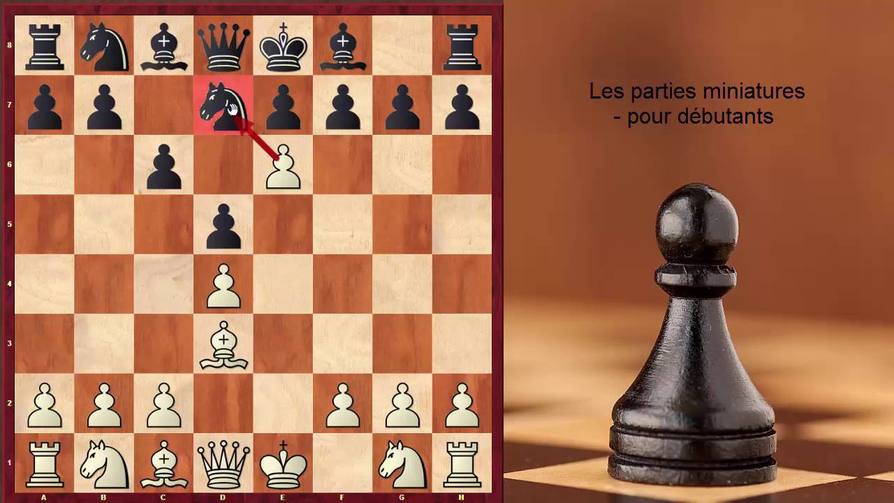 Progresser pour débutants aux échecs : les parties miniatures vol.2