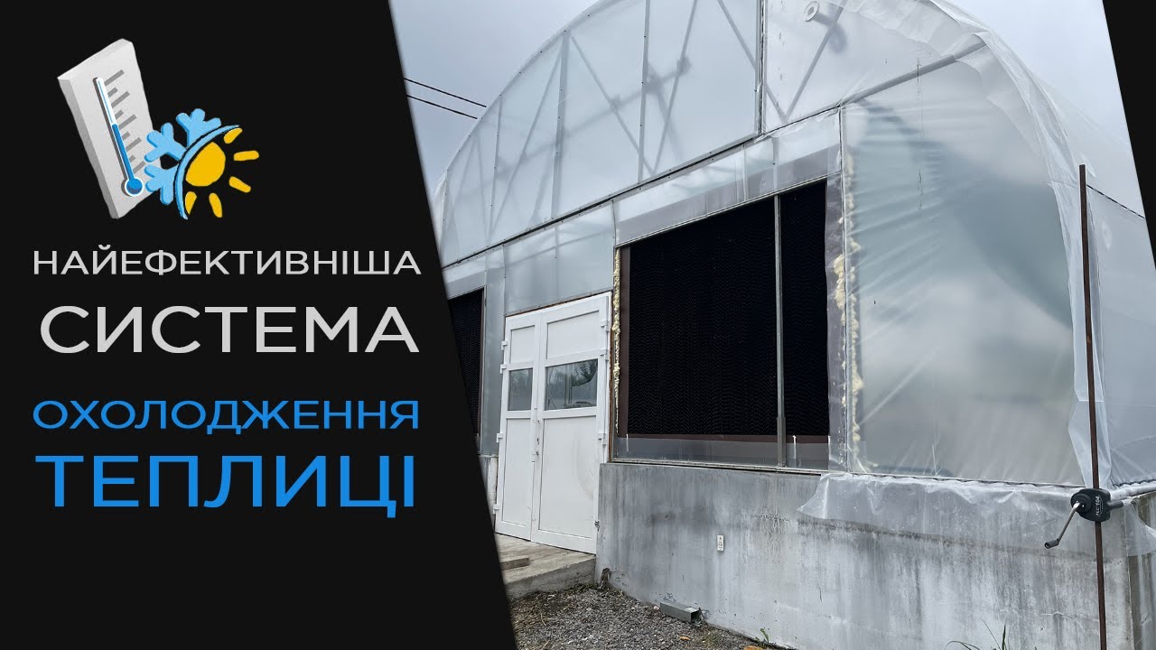 Найефективніша система охолодження теплиці, що зараз існує.