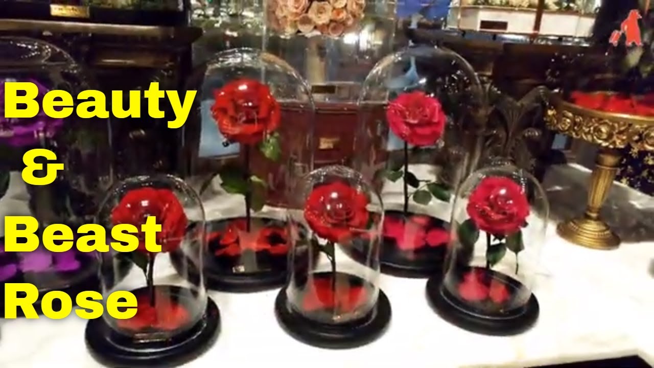 Rose that never dies | Valentines Gift Forever Rose | | Beauty and Beast Rose | #gift #dubai #rose