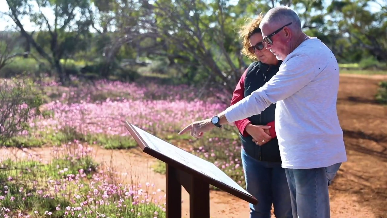 Пункт назначения WA - Mingenew Wildflowers