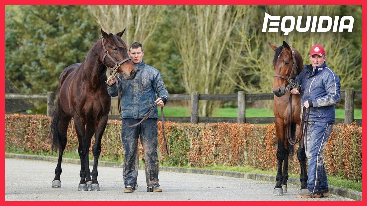 BOLD EAGLE ET FACE TIME BOURBON DANS L’INTIMITÉ !