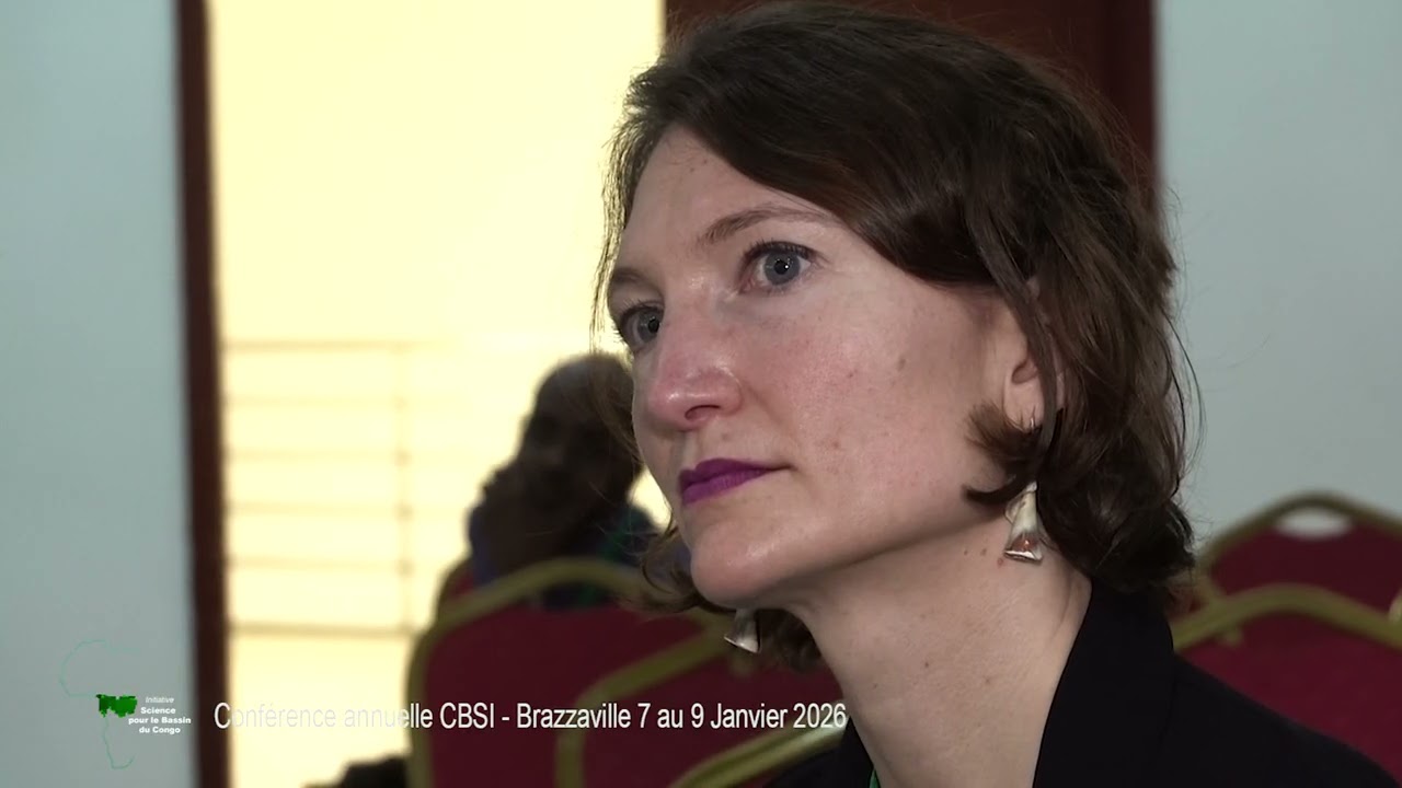 Institutionnelle   CBSI 2