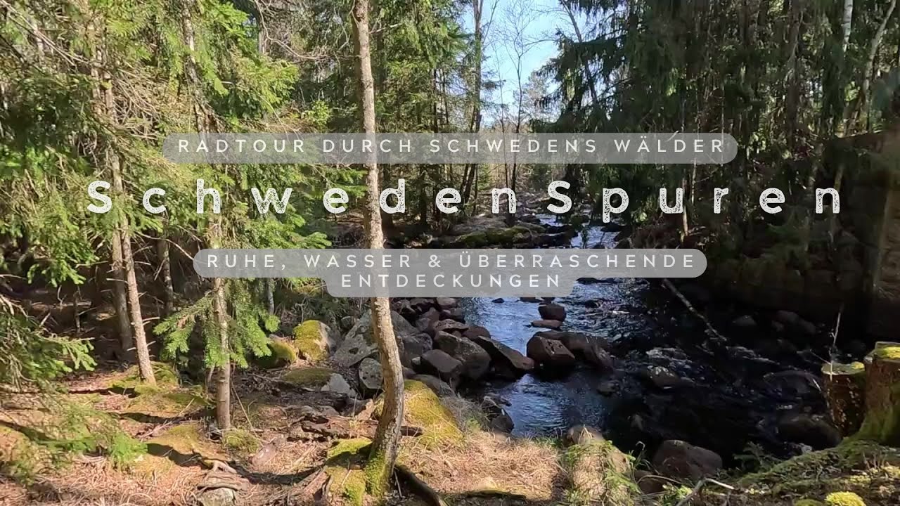 Radtour durch Schwedens Wälder – Ruhe, Wasser & überraschende Entdeckungen