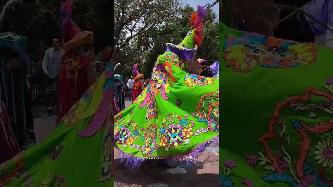 Carnaval de Zacualpan, Ver🎺🥁CDMX_ Los Pinos🕺Los caminos de la vida