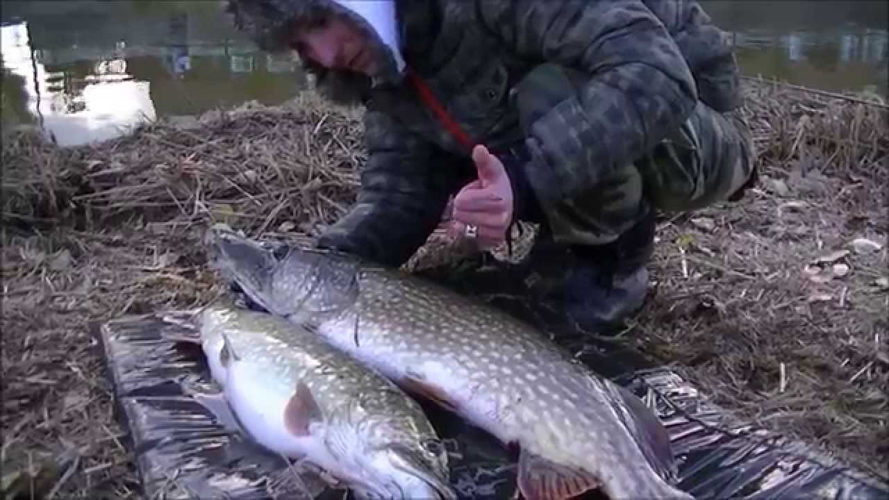 #056 Snoek vissen met doodaas. Robert Grootenboer