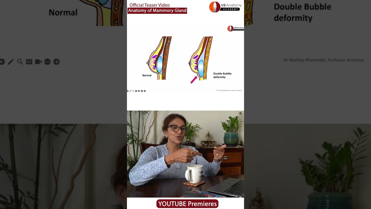 Breast Surgery: Anatomy, Implants, and Mastectomy Explained