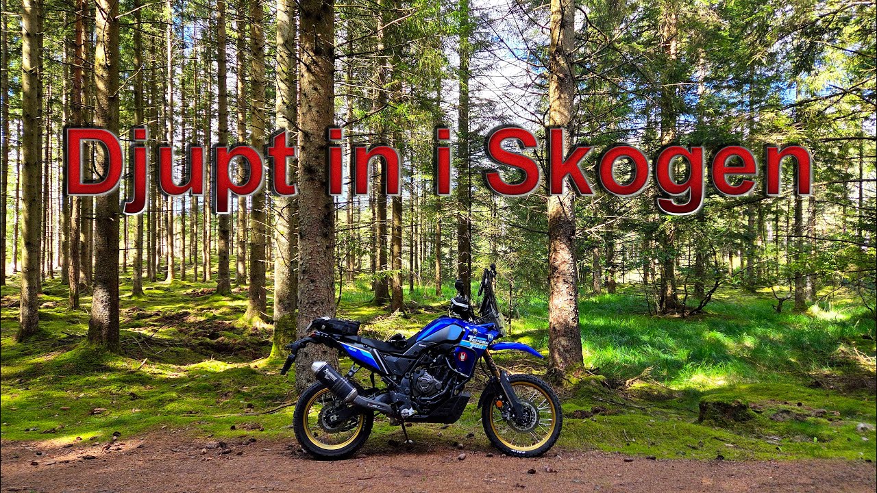 Djupt in i Skogen, längst nya TET