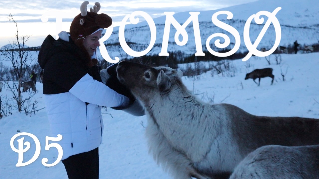 Rendieren knuffelen en voeren / Tromso Deel #5