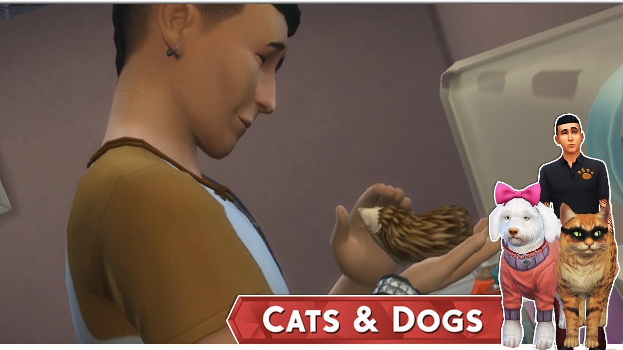 Az Állati Meló 🐕 - Saját SÜNI! 🤩 - 18. rész (Cats and Dogs)