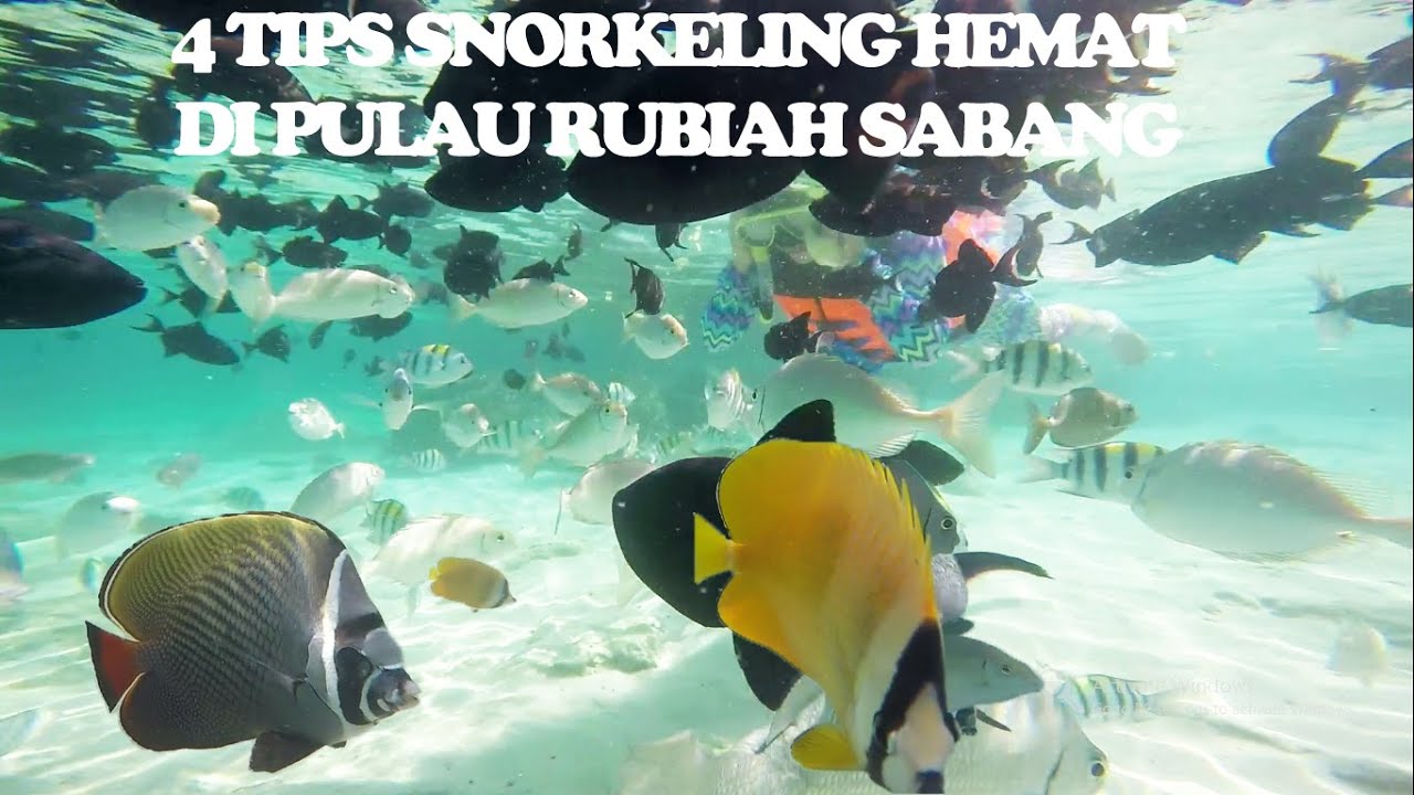 BIAYA SNORKELING DI PULAU RUBIAH SABANG [ TIPS SNORKELING HEMAT DI SABANG ]