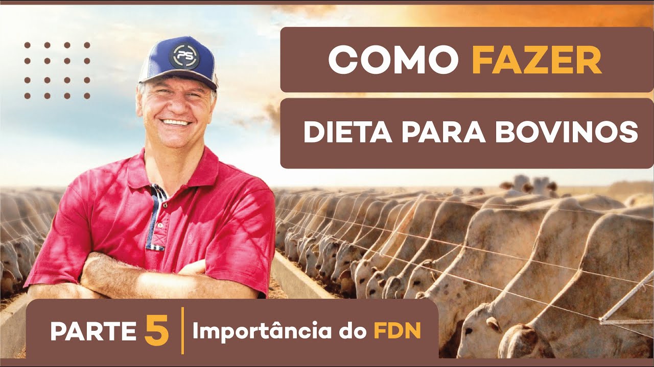 #5) Importância do FDN - DIETA PARA BOVINOS - Como fazer. PARTE 5