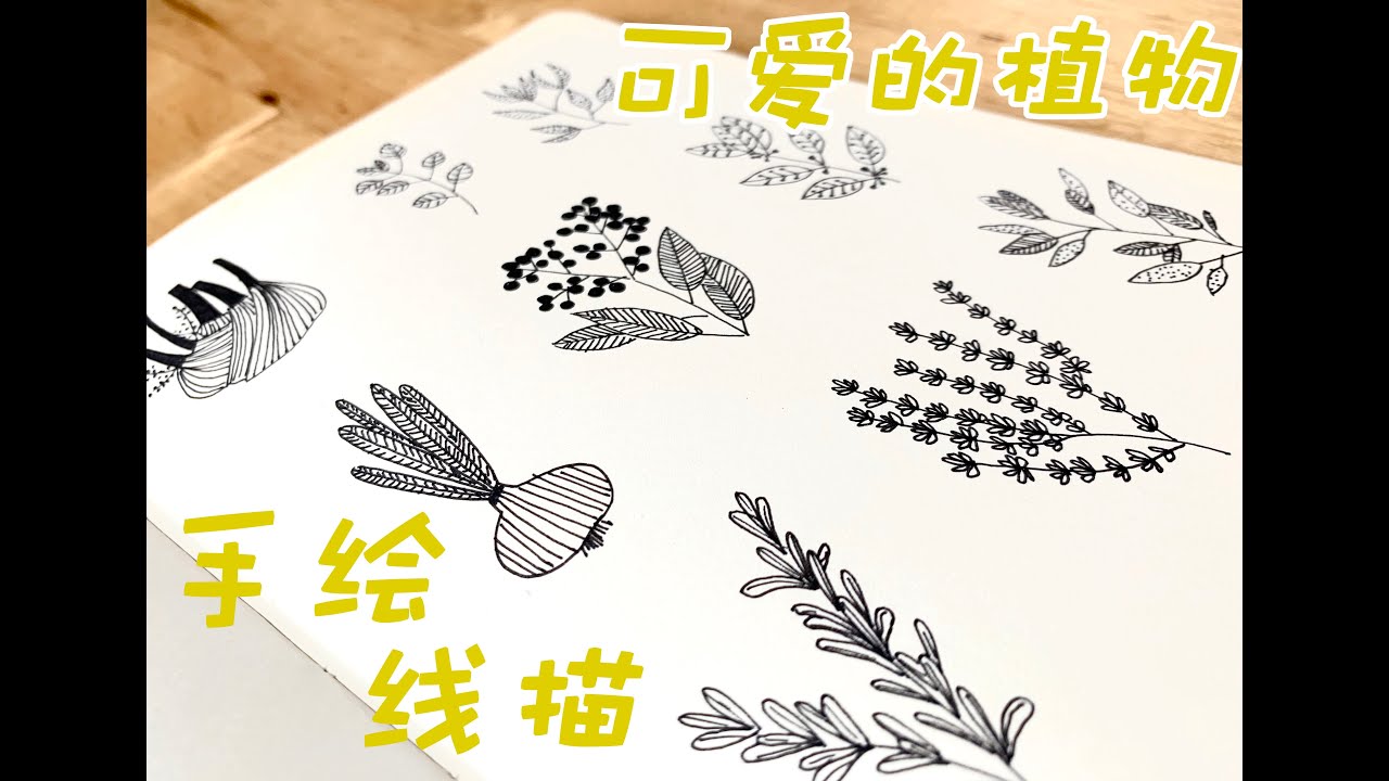 🌳【手绘 &middot; 线描】用圆圈用线，画可爱的植物