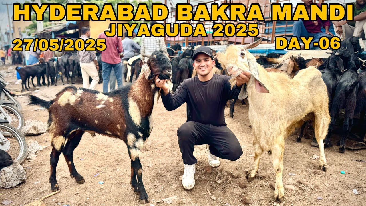 HYDERABAD BAKRA MANDI | JIYAGUDA  27-05-2025| DAY-06 | HYDERABAD JIYAGUDA BAKRA MANDI | goat market
