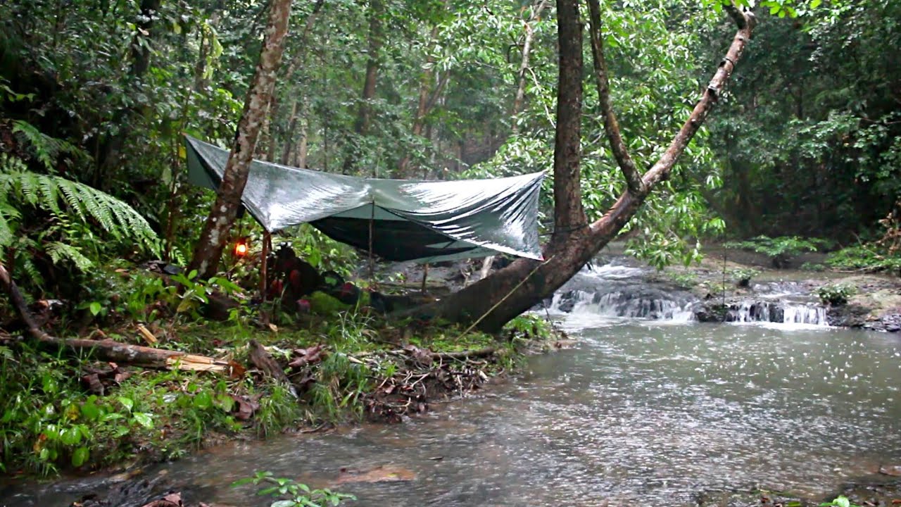 Camping Hujan Lebat Mancing Ikan Di Depan Tenda Spot Baru Tengah Hutan Kalimantan