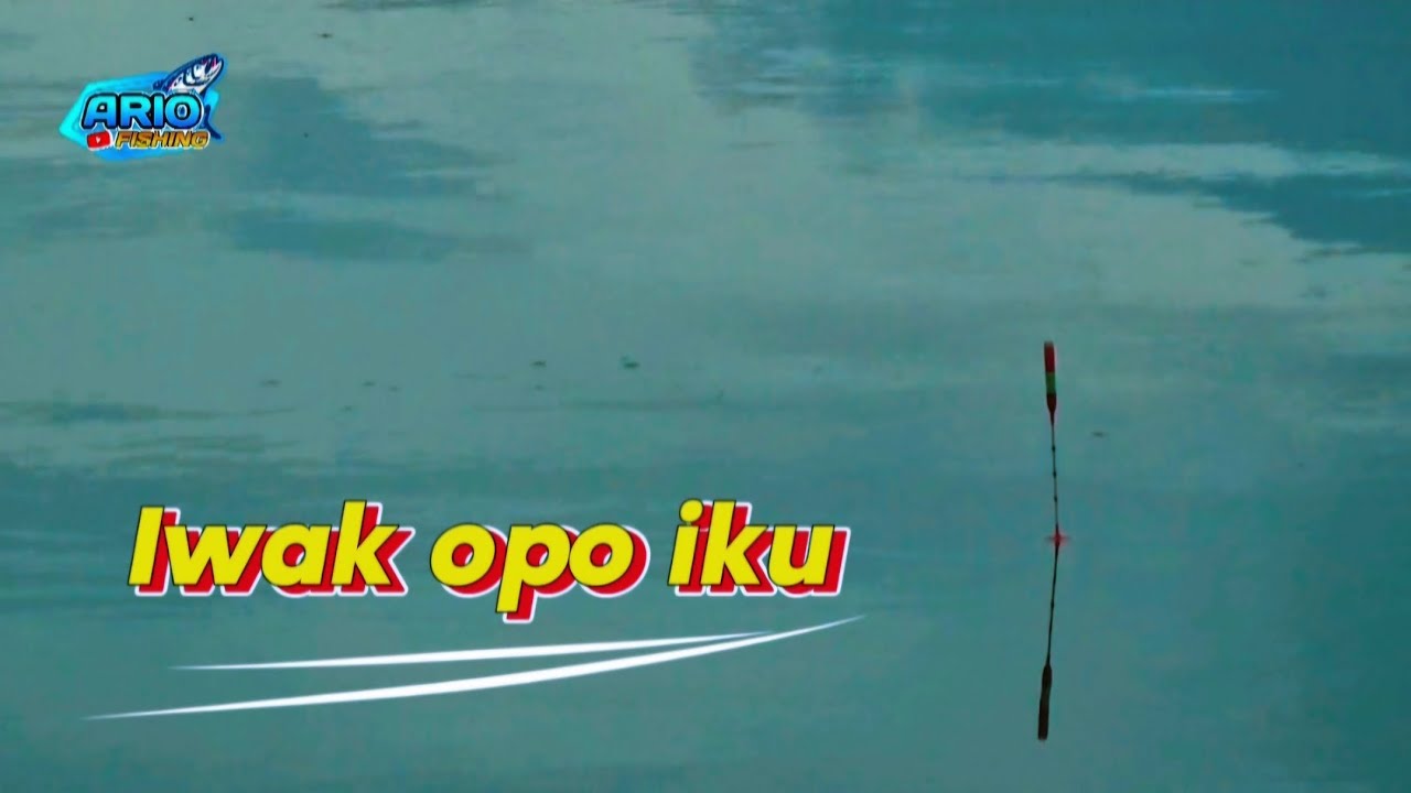 Lapak Bonlopo Sumberpucung‼️ Waduk Karangkates Malang Jawa Timur Indonesia