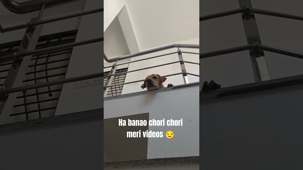 Kardo meri videos viral 😅 