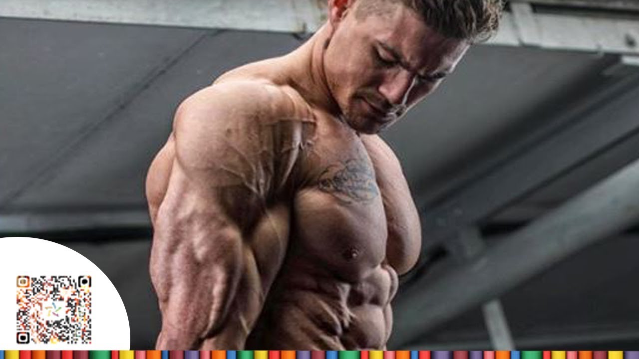 THE PERFECT TRAINING - Aesthetic Fitness Motivation